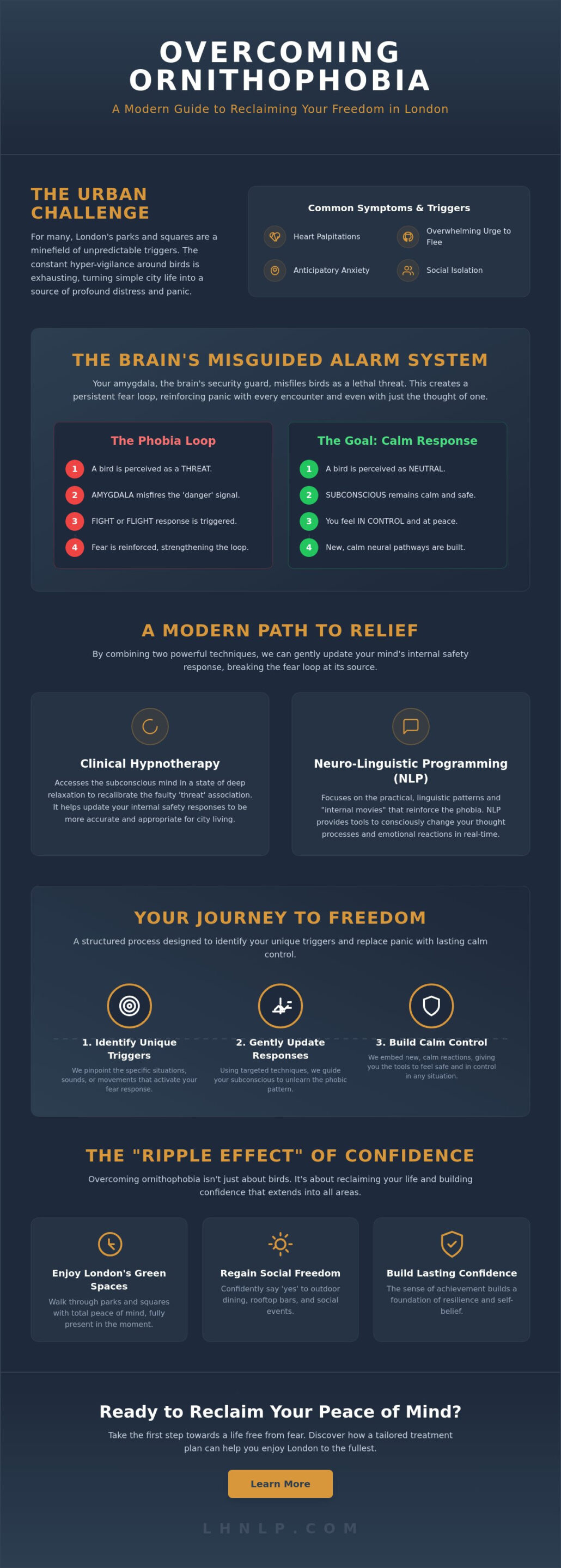 Fear of Birds Treatment in London: Overcoming Ornithophobia with Hypnotherapy & NLP - Infographic